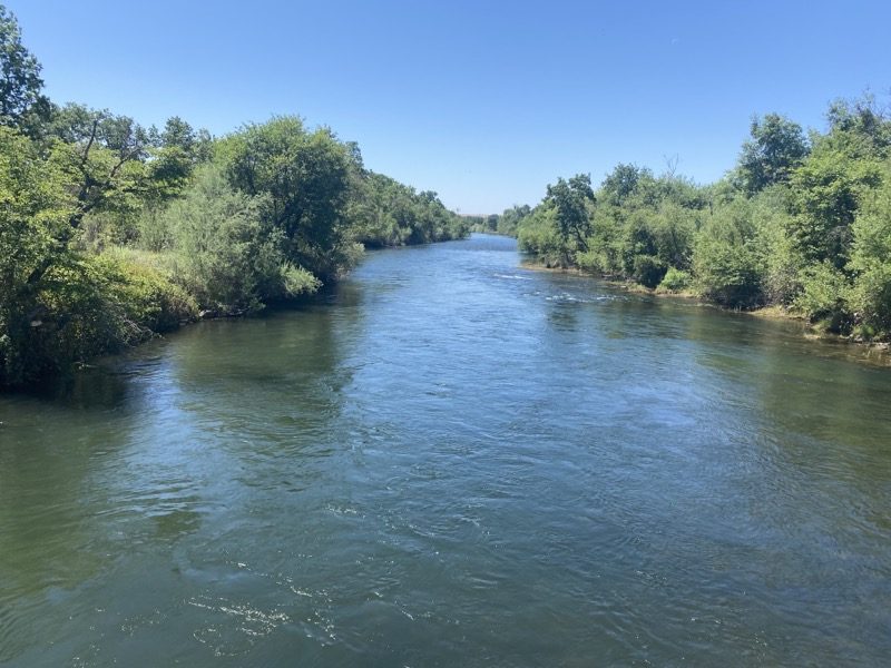 Wide river flowing between tree-lined banks